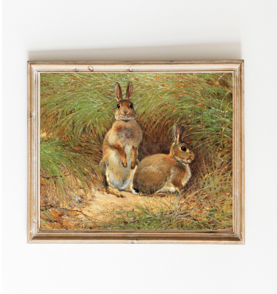 Antique Rabbit Print Vintage Rabbit Wall Art Digital Download Farmhouse ...