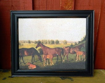 Horse Print Group of Mares with Colts in a Pasture Framed in a Black Wood Frame Equestrian Print - Antique Print