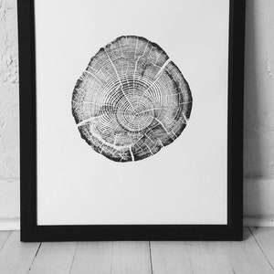 Montana Tree, Flathead Lake, Montana, Driftwood, tree stump, Montana print, forest art print, natural textures, natural patterns, LintonArt