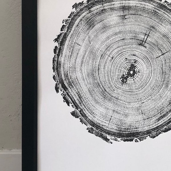 Denver Art, Rocky Mountains, Pine Tree Art, Tree ring Print, Woodcut Print