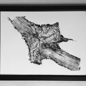 Yellowstone, Träsnitt, Timmer, Nationalparkkonst, Vedeldad konst, Alpin Modern, Modern botanisk, Skogsbruk, Signerat original bild 2