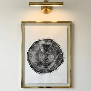 Maine Print, Forestcore art, Balm of Gilead, Tree ring print, Maine Poster, Arcadia, Arborist, Forestry, Live Edge wood, Signed original image 1