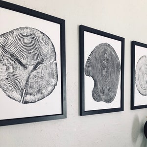 Set of 3, Utah Art, Alaska Art, Ohio State Art, Mulberry Tree, Cedar Tree, Wood Slice Wall Art image 1
