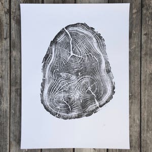 Locust Tree, Tree Anatomy, Botanical tree print, real tree stump art, Black Locust Tree, woodcut print, Tree stump print, Tree ring wall art image 3