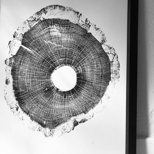 North Carolina Art, Tree ring print, Tree Hugger, Biology Art, oak tree art, log print