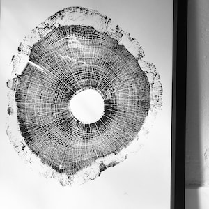 North Carolina Art, Tree ring print, Tree Hugger, Biology Art, oak tree art, log print