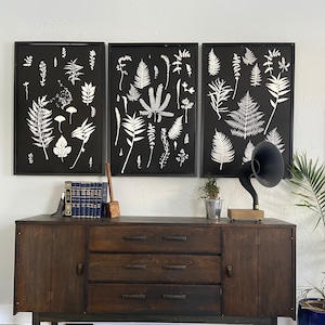 Botanische ephemera, kruidenprints, monoprint, enorme muurkunst, biologiekunst