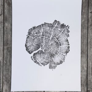 Yellowstone National Park, Tree rings print, Wyoming Art, Wood Slice Wall Art image 7
