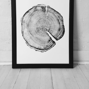 Op de afbeelding: Zwart-witte print van een dwarsdoorsnede van een boomstam, met de jaarringen van de boom. De print is ingelijst in een zwart frame.
