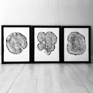 Drei Wandbilder, Baumblöcke, Holzschnitt, Baum hugger Geschenk, signiertEs Original 40x50 cm
