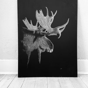 Etching of a Moose, 18x24 inch giclee print, Moose art, Yellowstone Moose, Yellowstone Moose art, Etching by Erik Linton