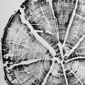 Glacier National Park, Montana Art, Tree Ring Print, Woodblock Print