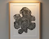 Ohio State, Black Locust, Tree ring print, Woodcut print, Mandala Art Print, Woodcut Print