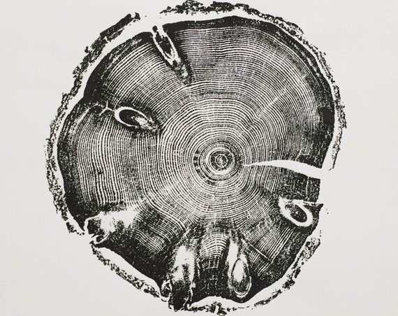 18x24 Tree Rings - LintonArt