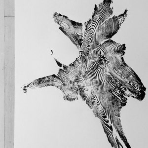 Idaho Wall Art, Wood Wall Art, Tree ring print, Woodcut print, Woodburning art, Abstract botanical, Maodern botanical art, Signed original