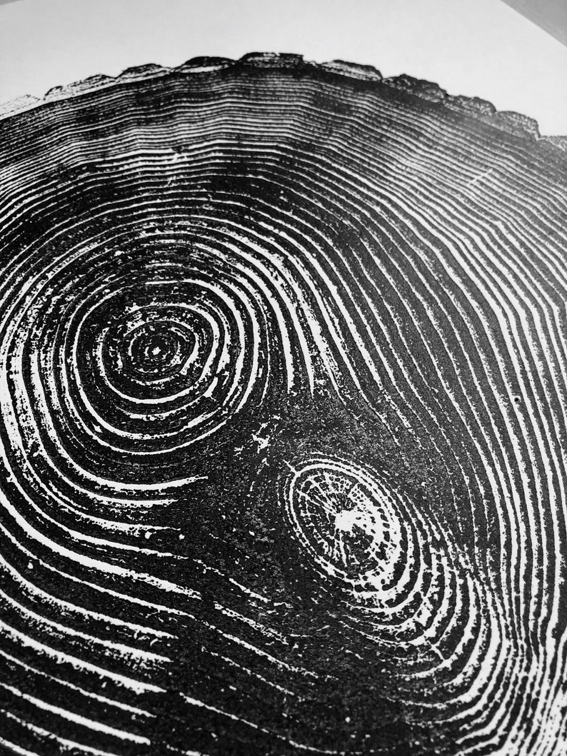 May include: Black and white close-up image of a tree trunk cross-section, showing the concentric rings of growth.