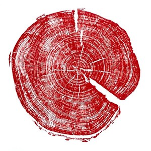 Utah-kunst, Uinta-gebergte, Forestcore-kunst Boomringprint, houtsnedeprint, boomringkunst, plakjes natuurlijk hout, origineel gesigneerd 18 x 24 inch Red