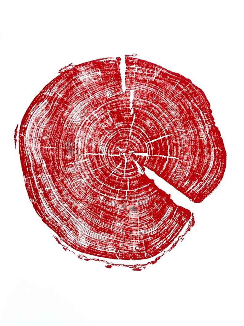 Utah-kunst, Uinta-gebergte, Forestcore-kunst Boomringprint, houtsnedeprint, boomringkunst, plakjes natuurlijk hout, origineel gesigneerd 18 x 24 inch Red