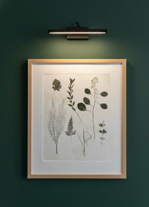 Systematic Botanical Study No. 1, original botanical monoprint, Signed original, one of one