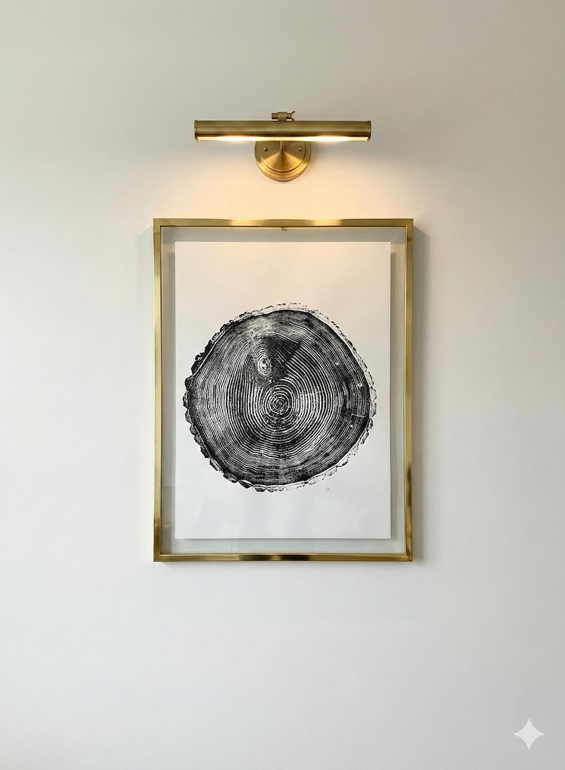 Maine Print, Forestcore art, Balm of Gilead, Tree ring print, Maine Poster, Arcadia, Arborist, Forestry, Live Edge wood, Signed original image 1
