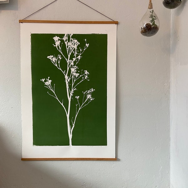 Herb Prints, Wild Fennel, Pressed botanicals, Biology art, Utah Print, Botanical Monoprint