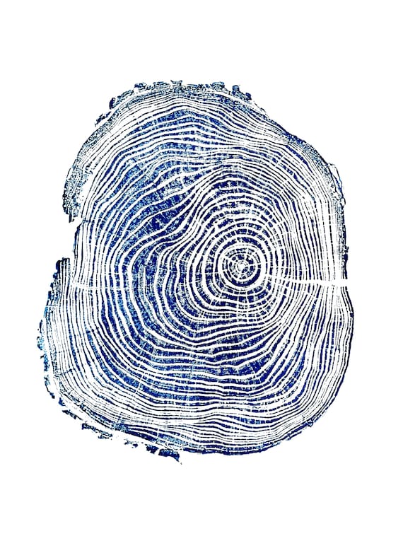 Black Locust, Live Edge, Blue Wood Wall Art, Woodcut print, Wood Burning Art, Tree Trunk, Utah Print, Signed Original 18x24