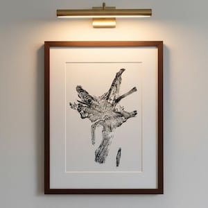 Tree Roots art, Glacier National Park, Montana Art, Alpine Modern. Tree Ring Print, Shabby Tree, Wood Slice wall art, Wilderness art