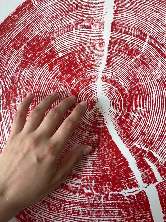 Rock Canyon Pine, Tree ring art print, Woodcut print, tree ring art print, Christmas prints, Christmas tree print, Holiday decor, print gift