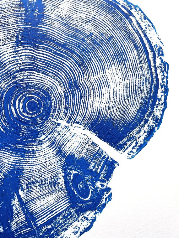 Pine tree art, Tree ring art print, nature inspired art, tree stump art, woodcut print, Christmas art, Holiday wall art, tree lover gift