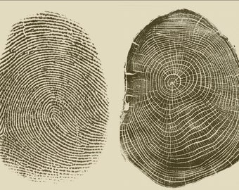 Personalize your fingerprint tree ring art, fingerprint art, tree ring print, human nature, nature lover gift, memorial gifts, honor gifts