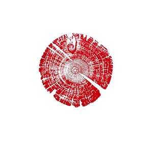Tree Ring Print, Utah Art, Lodge Pole Pine, Tree Blocks, Biology Gifts, Wood Burning Art, 18x24, Signed Original Red
