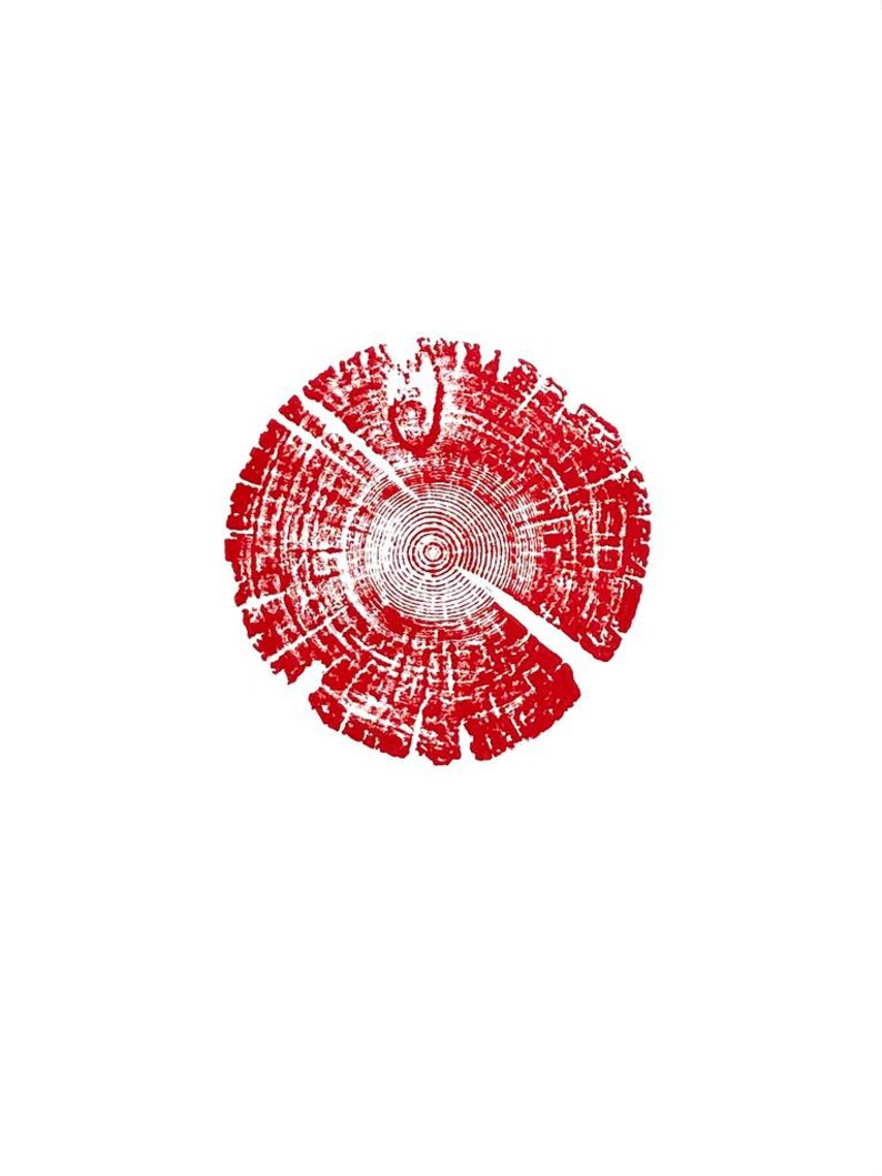 Tree Ring Print, Utah Art, Lodge Pole Pine, Tree Blocks, Biology Gifts, Wood Burning Art, 18x24, Signed Original Red