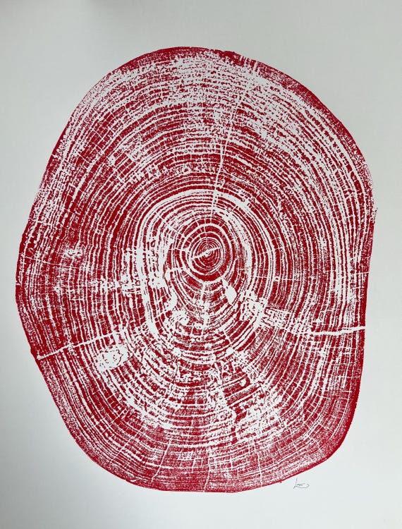Texas Art Print, Pecan Tree, Waco Texas, Tree Ring Print, Austin TX, Natural Wood Slices