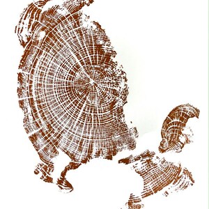 Oregon Coast, Driftwood Wall Art, Tree Ring Print, Lodgecore art, Cascade Mountains, Woodcut Art Brown