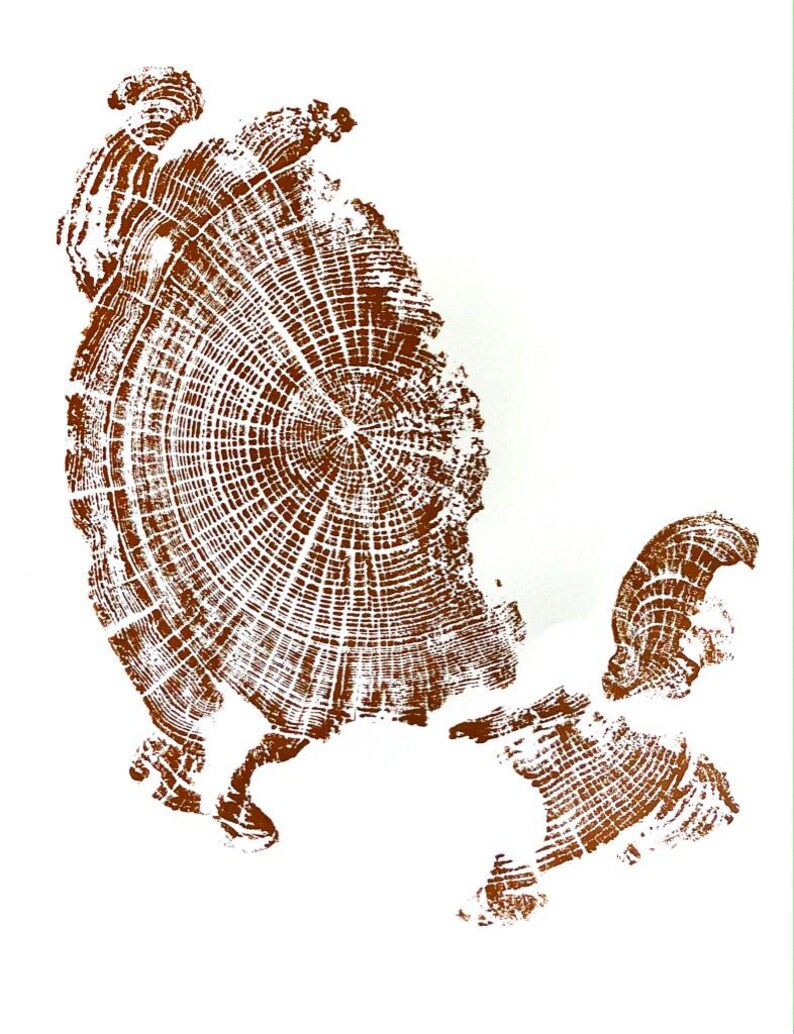 Oregon Coast, Driftwood Wall Art, Tree Ring Print, Lodgecore art, Cascade Mountains, Woodcut Art Brown