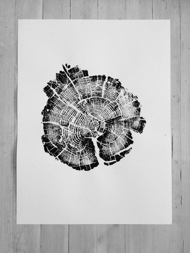 Yellowstone National Park, Tree rings print, Wyoming Art, Wood Slice Wall Art image 5
