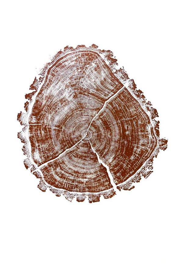 Utah Art, Tree Ring Print, Ski Art, Lumber, Shabby Tree, Wood Slice Wall Art, Natural Wood Slices
