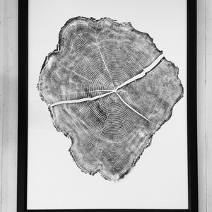 Tree Stump Print, Utah Art, Tree Blocks, Woodcut print, Forestry, Signed Original, 36x48 inches image 5