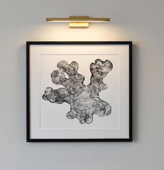 Florida Print, Everglades Art, Big cypress, Lodgecore art, Osceola, Tree Ring Print, Huge Wall Art