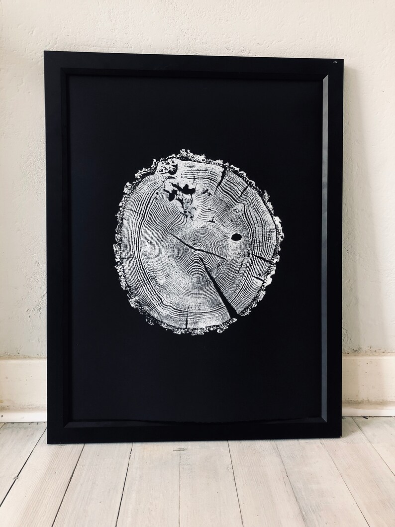 May include: A black framed print of a white tree ring on a black background.