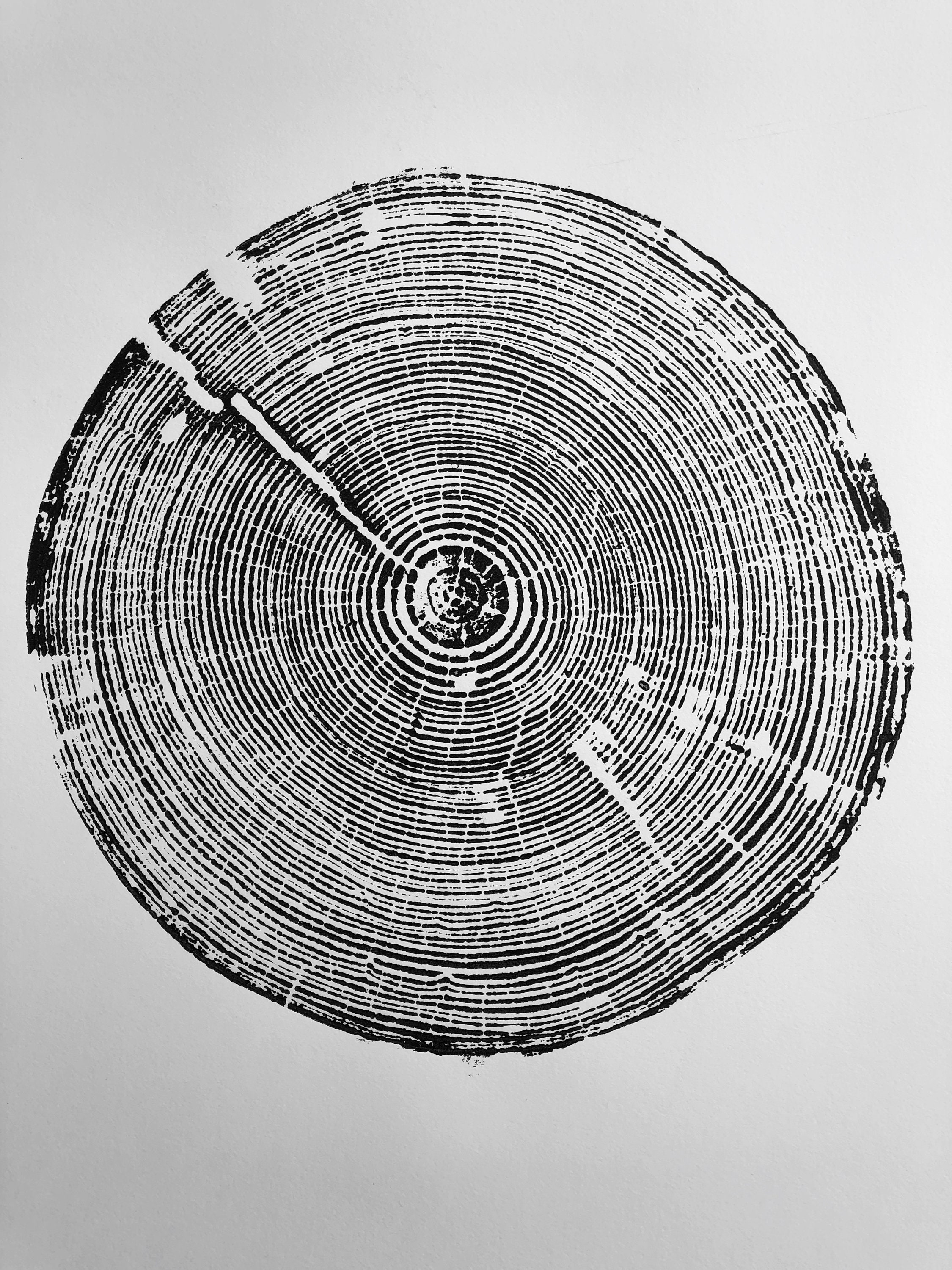 Alabama Tree Ring Print, Alabama art print, made by hand from a real ...