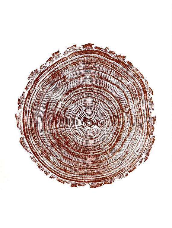 Colorado Tree Art, Rocky Mountains, Pine Tree Art, Tree ring Print, Woodcut Print