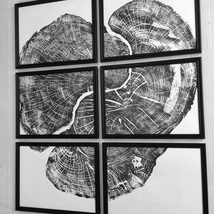 Set of six, Pennsylvania wall art, Maple Tree, Sugar Maple, Tree ring print, Live edge wood wall art image 2