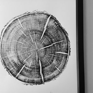 Black Hills South Dakota Woodcut print, Tree Ring Print, Arborist, Forestry, Biology Gift, 18x24 inches, Signed Original