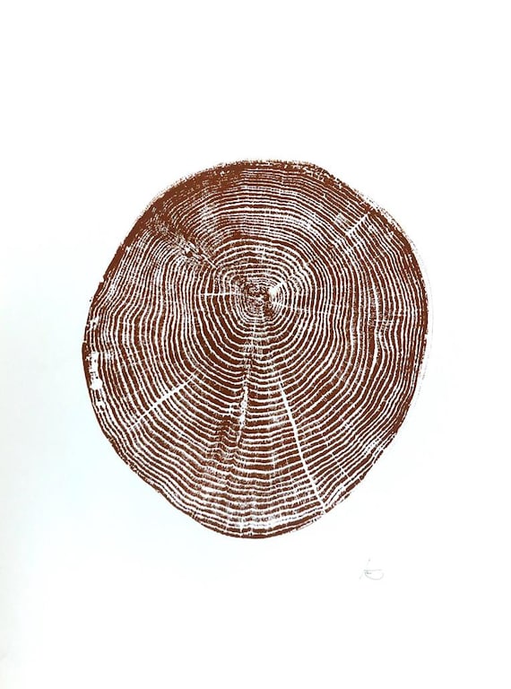 Long Island, NY, Oak tree art, Oak tree ring print, Tree stump art print, Original Woodcut, Woodblock print, Linton Art