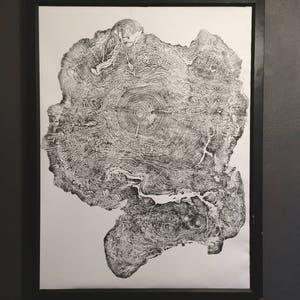 Big Leaf Maple, Tree Ring Print, Massachusetts Art, Oversized Tree Ring ...