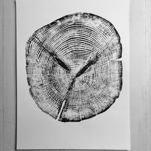 Alaska Cedar, Alaska Art, Denali, Shabby Tree, Tree Ring Print, Forager