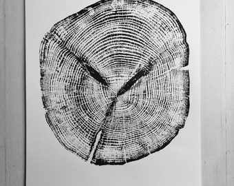 Alaska Cedar, Alaska Art, Denali, Shabby Tree, Tree Ring Print, Forager