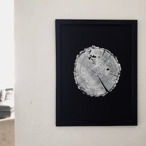 May include: A black framed print of a white tree ring on a black background.