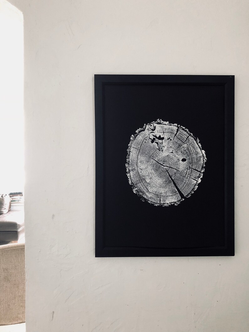 May include: A black framed print of a white tree ring on a black background.